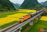 两广终于修北化高速！解十年堵车难题，双向四车道跨省跑更顺