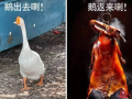 闷热+暴雨！36度的北流，热爆！