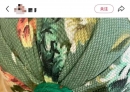 会飞、会爬，不少人家中出现（不是蟑螂）！北流网友炸锅！发现马上扔