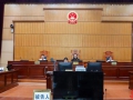 一男子在北流市某镇范围内出售违法物品，被判刑六年六个月，并处罚二万元！