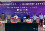 总投资3.5亿元！北流清湾镇签订六堡茶文旅融合产业园项目