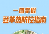 科普 | 一图掌握登革热防控指南