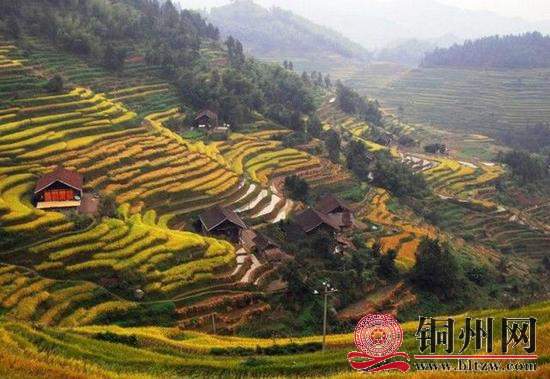 getimg.php?url=http%3A%2F%2Fn.sinaimg.cn%2Fgx%2Fcrawl%2F20171023%2FK7ag-fymzqsa6095617.jpg