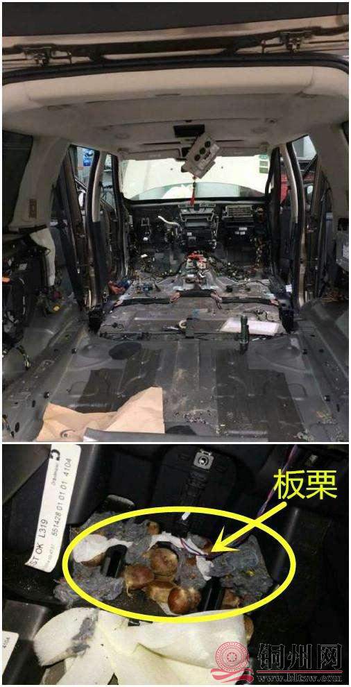 老鼠上车3.jpg