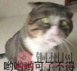 fe4c779b6f59ab6bc8669cb61390427d.jpg