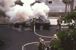 43f9a39791624d8494868020ab82d901.gif