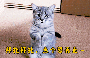 c27ce12da383590c10ee85869d56606f.gif