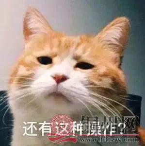 getimg.php?url=http%3A%2F%2Fn.sinaimg.cn%2Fgx%2Fcrawl%2F599%2Fw299h300%2F20180821%2FdF_J-hhzsnea4638409.jpg