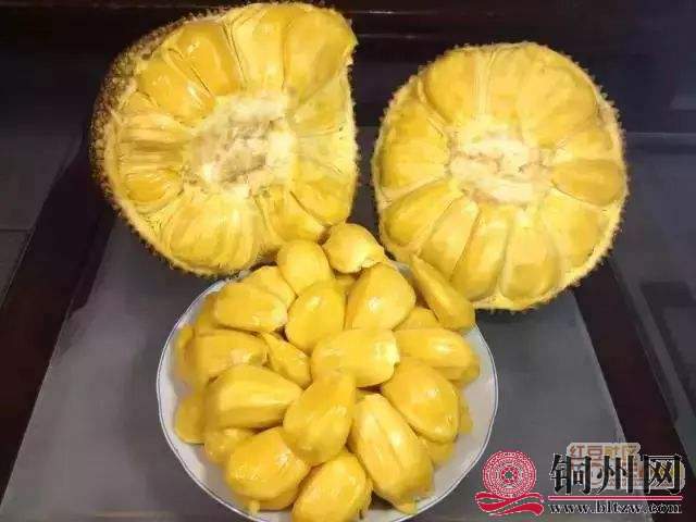 getimg.php?url=http%3A%2F%2Fpic.hongdou.gxnews.com.cn%2Fpicbbs%2Fbig%2F2018%2F0903%2F3759411_4fef41687960c52203593aaf9e851f49.jpg