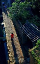 c7984776e3a0d38cef7dfaa248830c6a.jpeg.170x220.auto.jpg