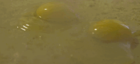 397a7a9d2b9e37e5997487f917298376.gif