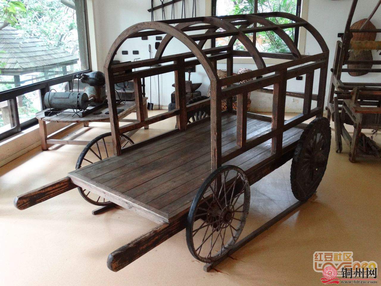 getimg.php?url=http%3A%2F%2Fpic.hongdou.gxnews.com.cn%2Fpicbbs%2Fbig%2F2019%2F0105%2F3127855_8b887a4f3733033706c111c918d23464.jpg