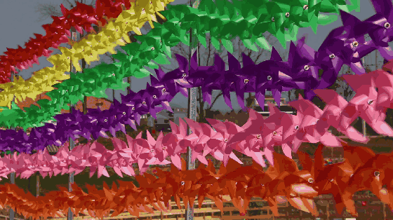 2861ae270a6f4565123ed11ee4141a28.gif