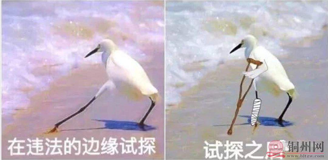 e552c4fdf3bf3622b0bf711587596e5c.jpg