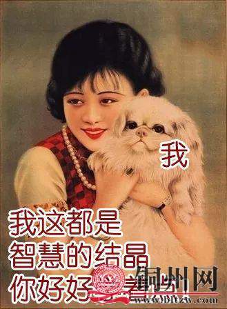 5B13D4B2359E94BC9DE2294D29628C2E992D108E_size32_w329_h448.jpeg