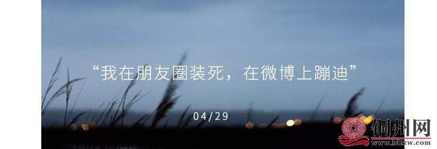 3A8D6773DFEA9B1A01A8012D36D34BA5614BAFCA_size20_w900_h308.jpeg