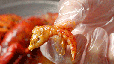 44A2D2C22514DD270900A84099AA4980CDA7F40B_size1847_w380_h214.gif