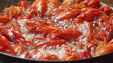 88175E36959BC0BC4F20835CE07E4FB0D12BC620_size2351_w380_h214.gif