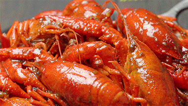 19657072A6F2E043C6280FA4BC77BD1D83CCDF32_size1897_w380_h214.gif