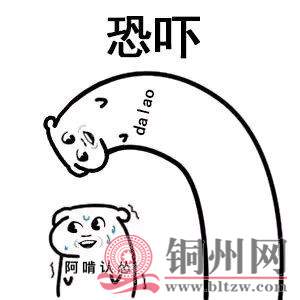 F87E196CA80F9977E47D828D1F4D6EBFC9BF1BB5_size11_w300_h300.jpeg