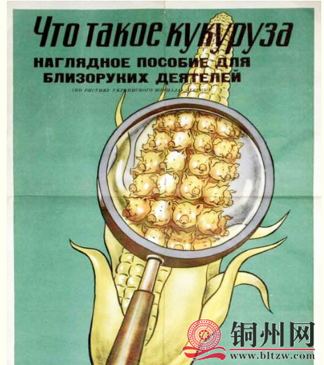 F819568CB13B27210B8E2525F417911897F68B03_size595_w464_h522.png