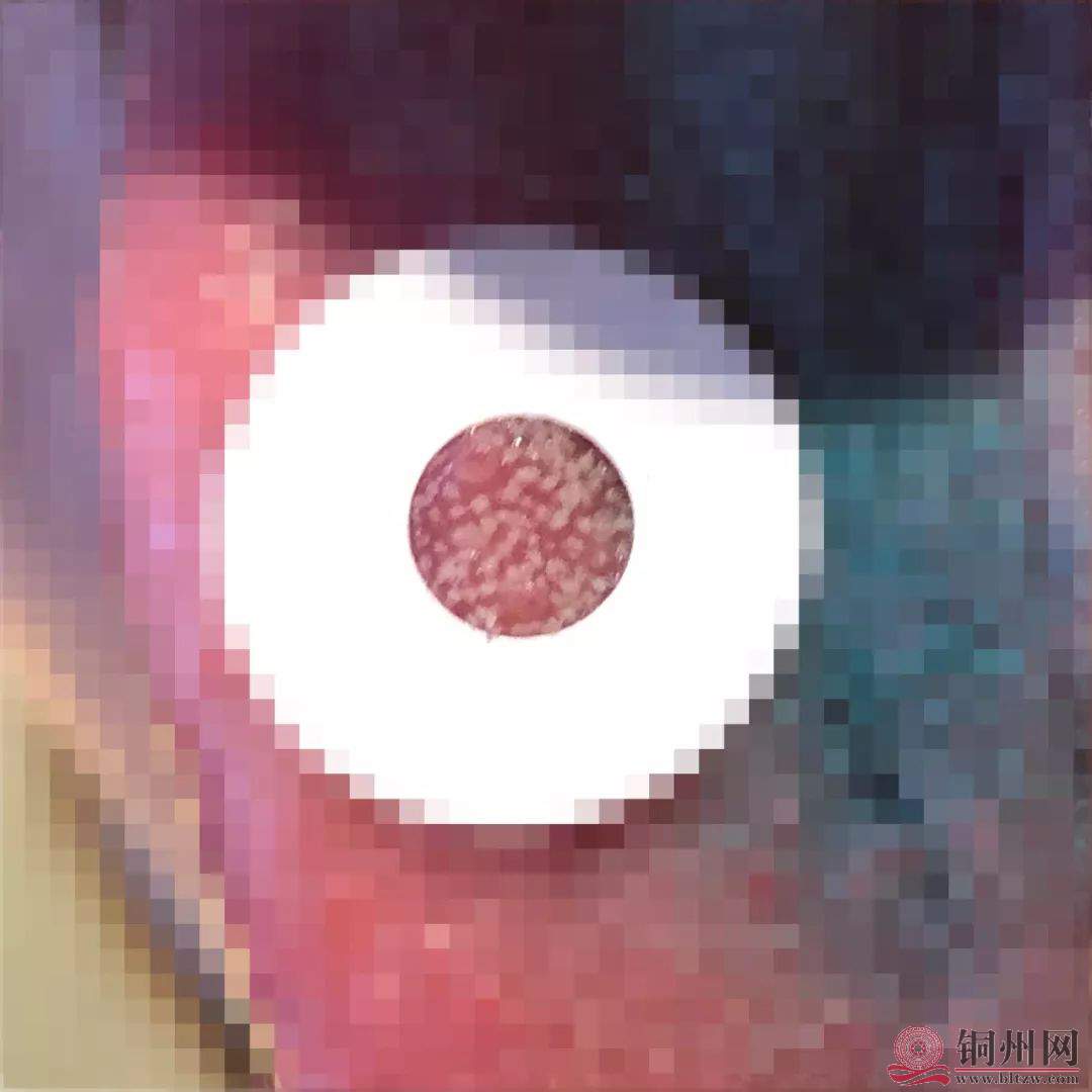 AABF1646A57E9D5E4E874D3CD06B7A33D5B60601_size54_w1080_h1080.jpeg