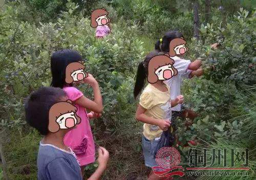 5a48fe669599ddb0ab112966df371ca1.jpg