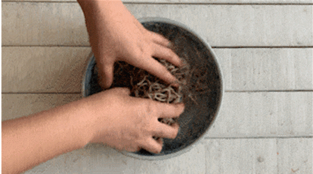 6EB29658811098D2EF8109C36E62CFC209AB203D_size1646_w450_h250.gif