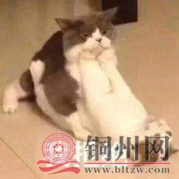 B71D1592A083A6705E089EFEC50EAB89993D0B88_size7_w255_h255.jpeg