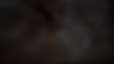 dc48b2858759e4e6e5060813ed943a16.gif