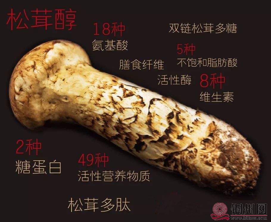 多种微量元素.jpg