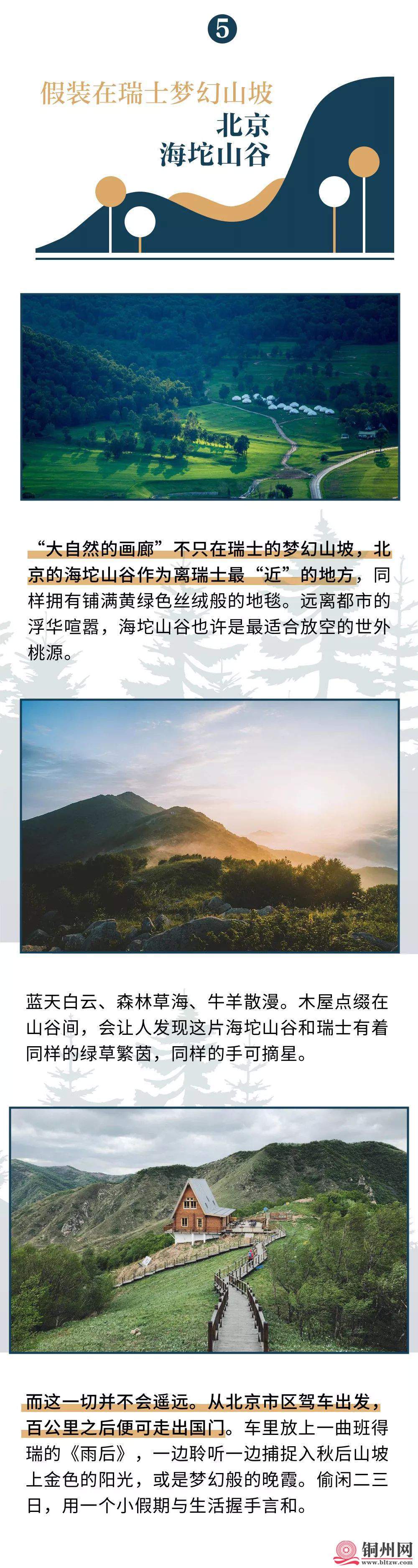 63D0377A39E5B3ADA83BF0E0034BB22B2C631CDE_size538_w1000_h3747.jpeg
