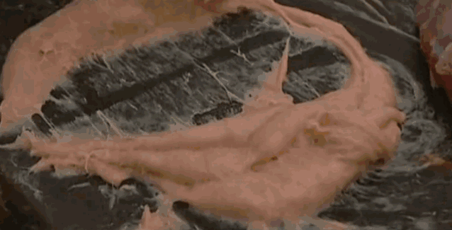 4C11460767DC225C5D96BFD1D99C6DA1416C4333_size1016_w638_h325.gif
