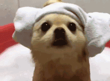 7114dd90c84089b29a0d13ec1dda0f3e.gif