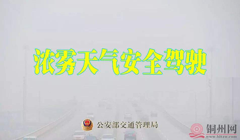 02a6535ee23ed1338e44c43202b949fc.jpg