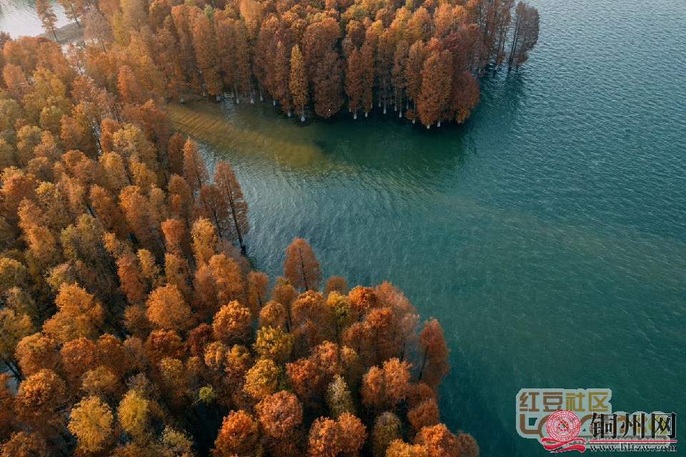 4234746_aa260668fd753ffcd29eae34212c9726.jpg