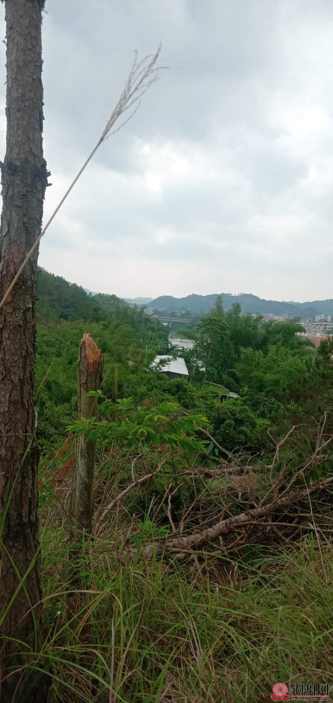 wechat_upload15900017425ec5804ee746c