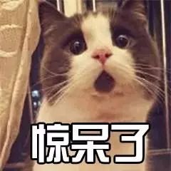 96fa6a907ae56214bc3e918fa410f71d.jpg