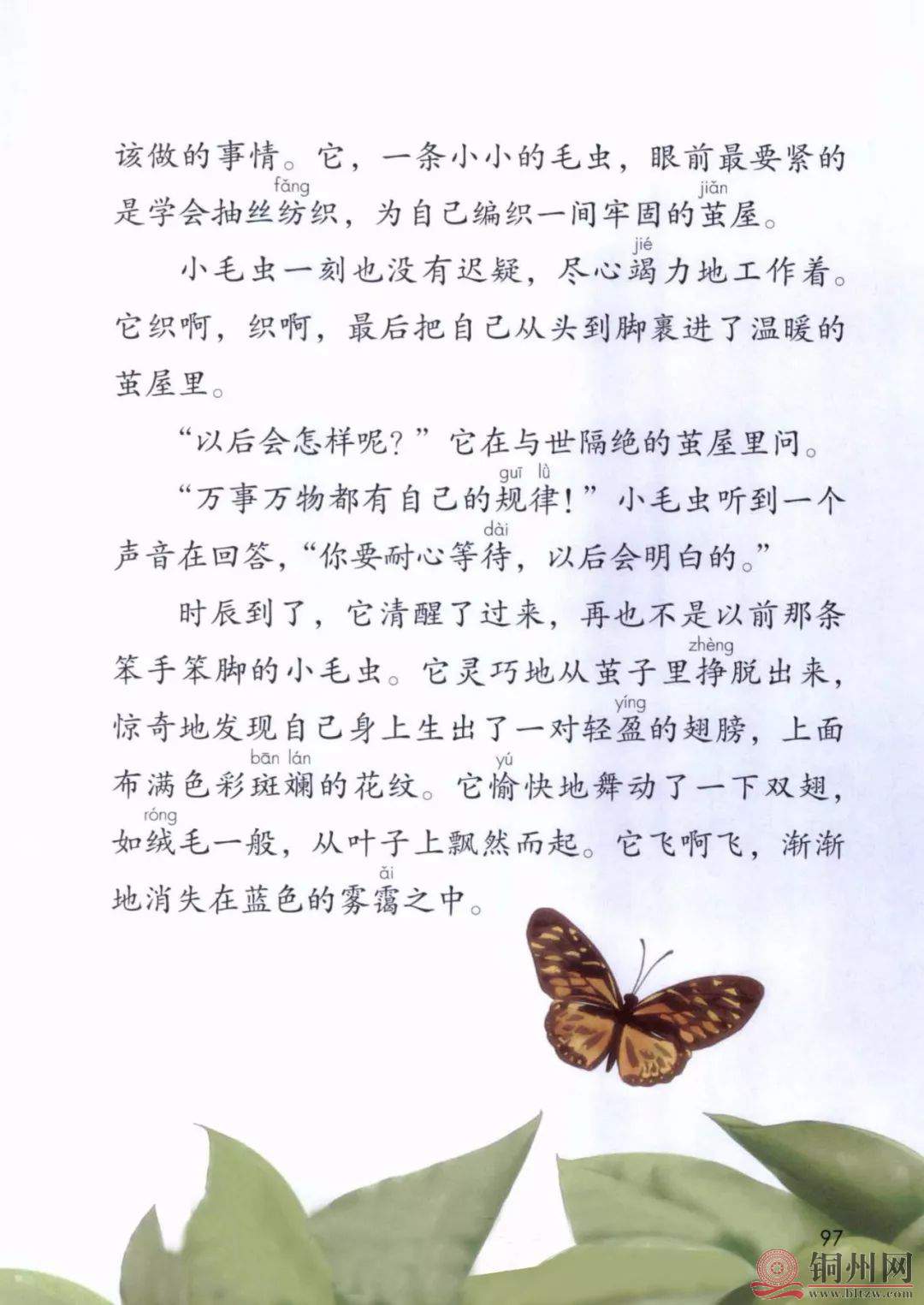 c110c0d0921482be9d1d53bc70518c2f.jpg