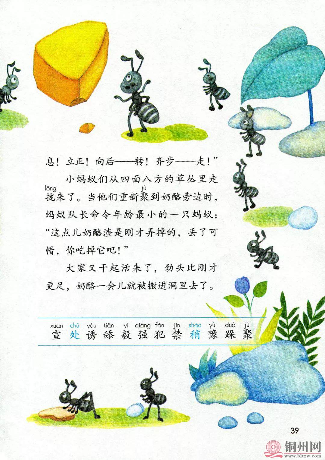 ab172d494788109d02c0c4871348787a.jpg