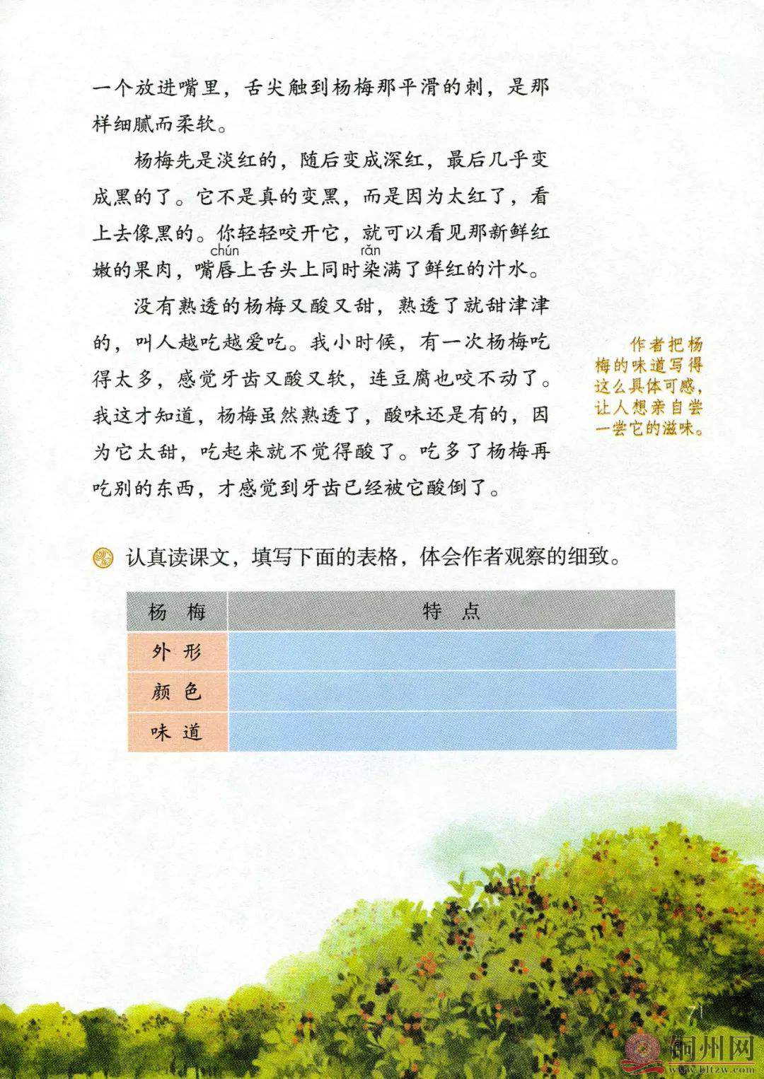 e927d499a6dade7e7e1beb6500562018.jpg