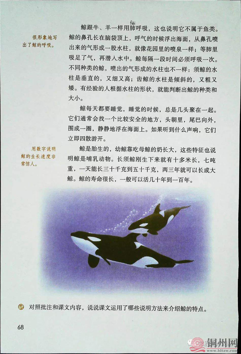 114548f54356c57e8ff825241dd4d846.jpg