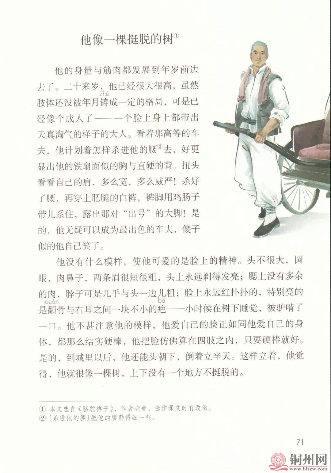 64d3142348219043bd9af59258d23cbc.jpg