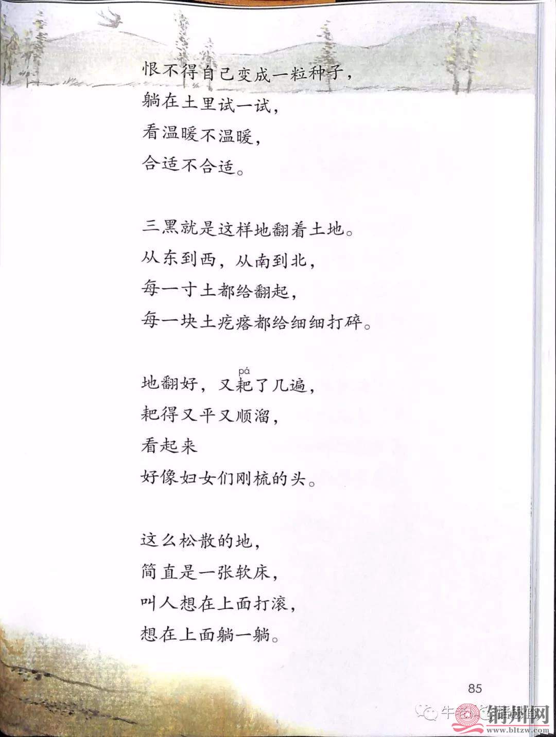 5310ce0f06e300cb3c7e548ad2efecef.jpg