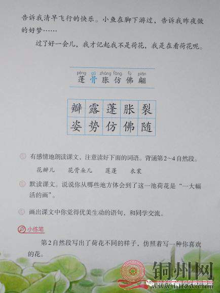 3caa8550a2ef415f8b09712d763ba07c.jpg