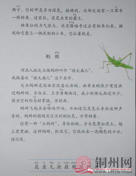 558cb9fd49fb9553e75163fe866d76c4.jpg