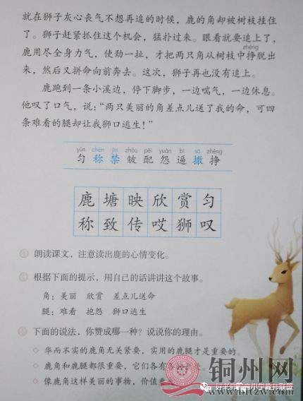 ae97d9908dc9b85980e47c6ed512817a.jpg