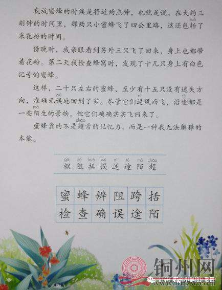 055b59fc76acb5ded6e92d2a030db512.jpg