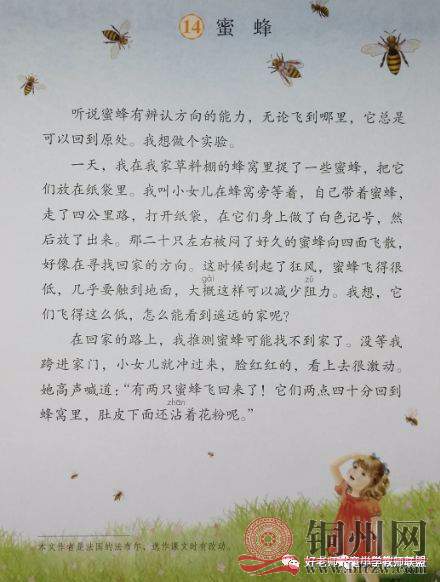 fa066d939433dadb751d1bc2e0ae4c6c.jpg