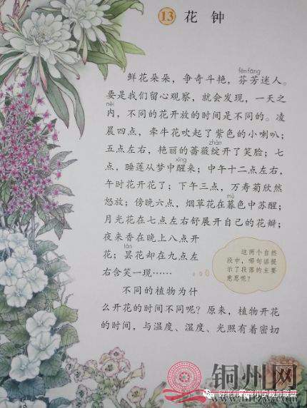 4ffb0e7f738fabfad0ecc624ffd8116d.jpg
